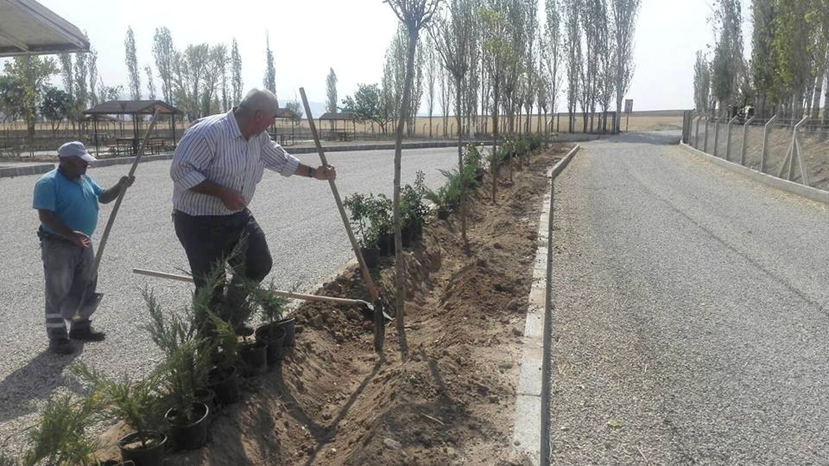Sungurlu\'da 9 Bin Fidan Toprakla Buluştu