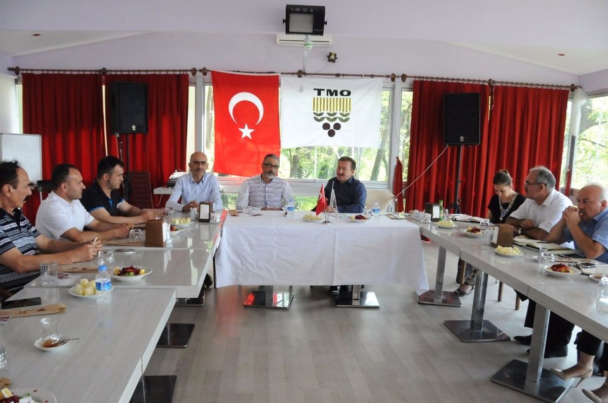TMO\'nun Açıklamaları Fındık Piyasasını Hareketlendirdi
