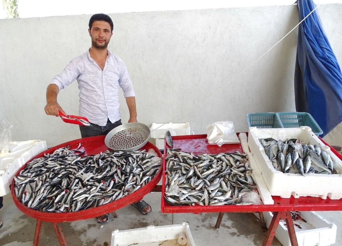 Balık Tezgahları Şenlendi