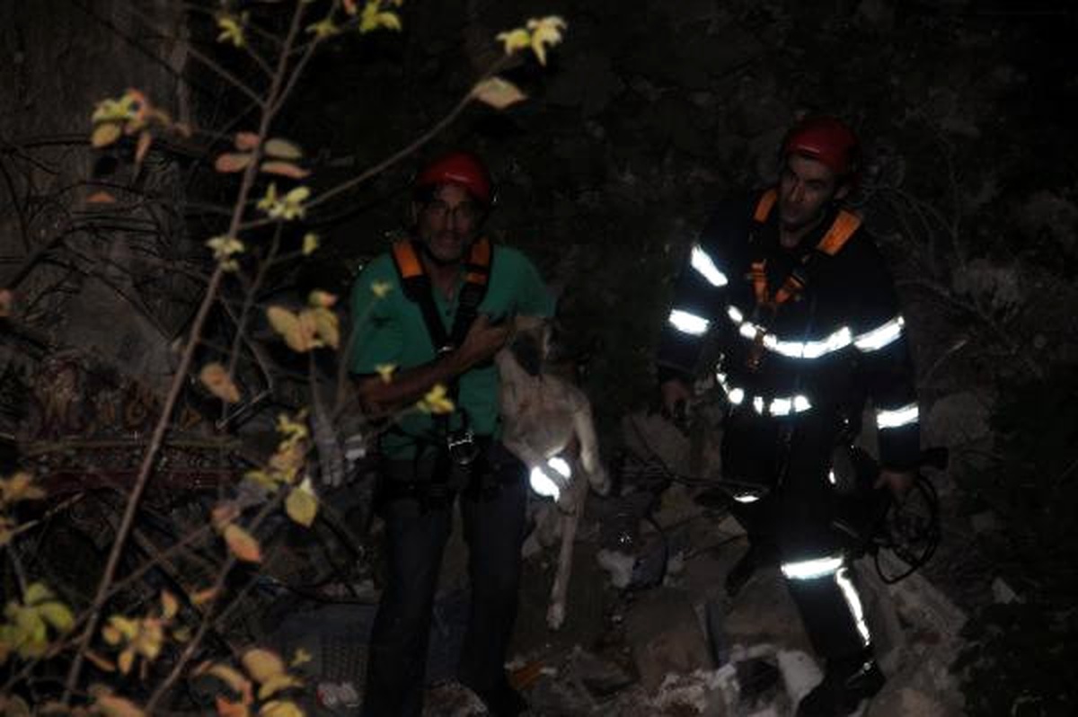 Boynuna Kemer Bağlanıp Mağaraya Atılan Köpek Kurtarıldı