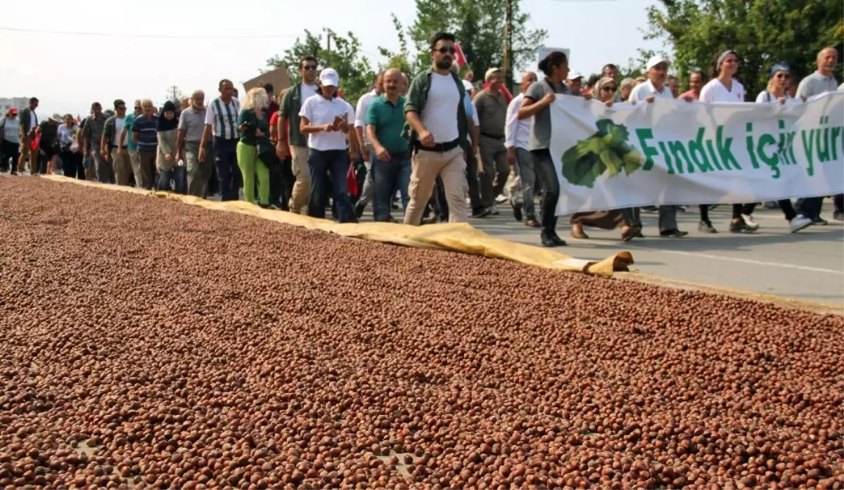 Fındık İçin Adalet Yürüyüşünün İkinci Günü de Tamamlandı