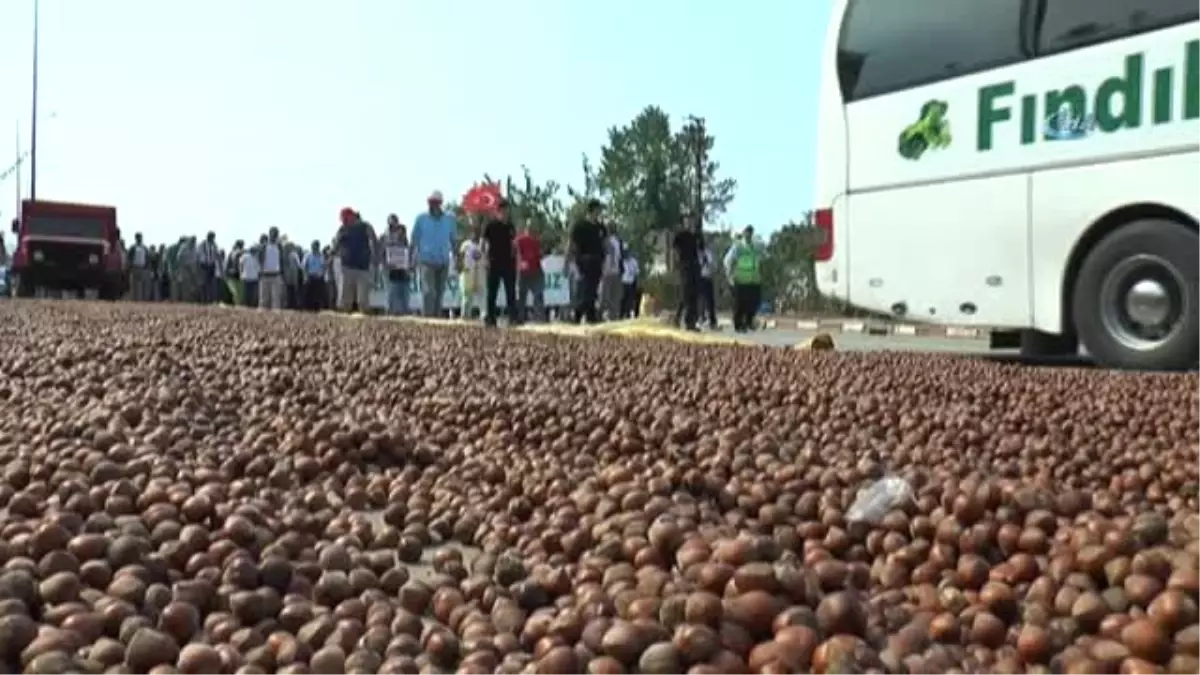 Fındık İçin Adalet Yürüyüşünün İkinci Günü de Tamamlandı