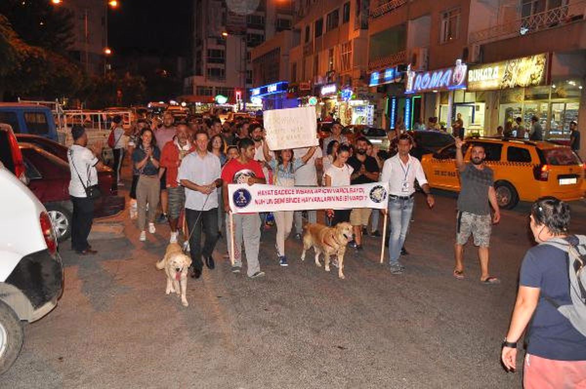 Hayvanseverler, Tekmeli Saldırıya Uğrayan Mia İçin Yürüdü