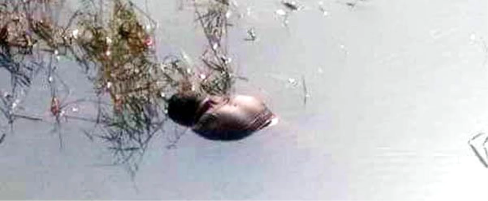 Kayıp Olarak Aranıyordu, Sulama Kanalında Cesedi Bulundu