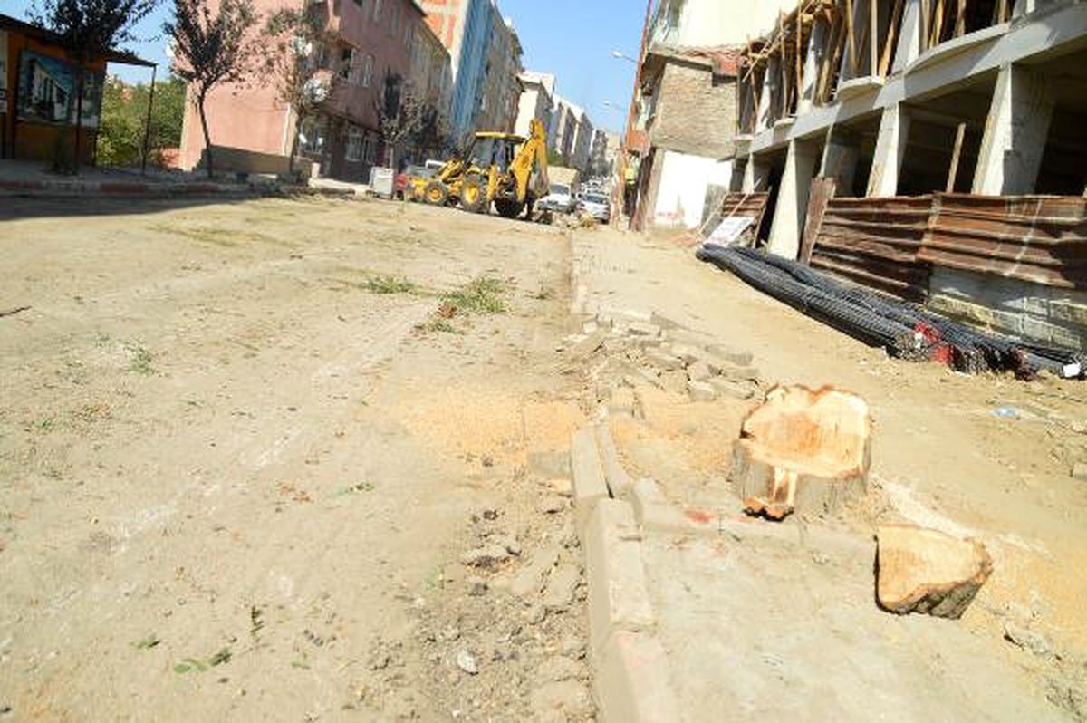Keşan\'da Yol Genişletme Çalışmasında Ağaç Kesilmesine Tepki