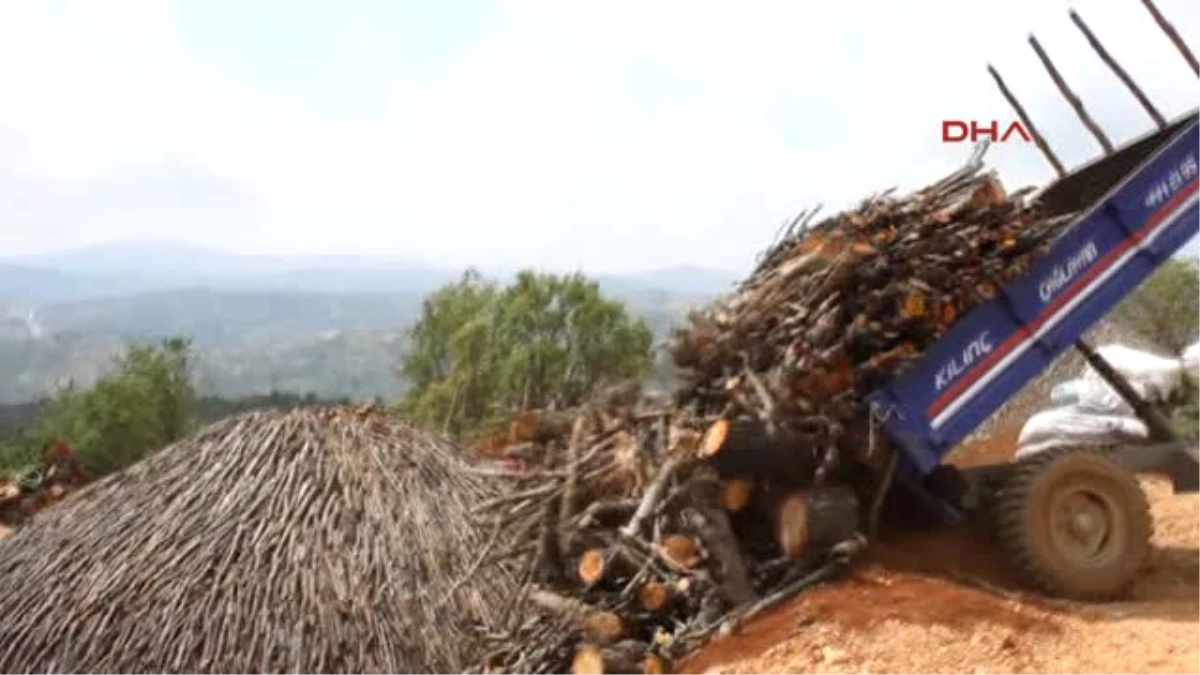 Konya Ekmeklerini Mangal Kömürü Yaparak Kazanıyorlar
