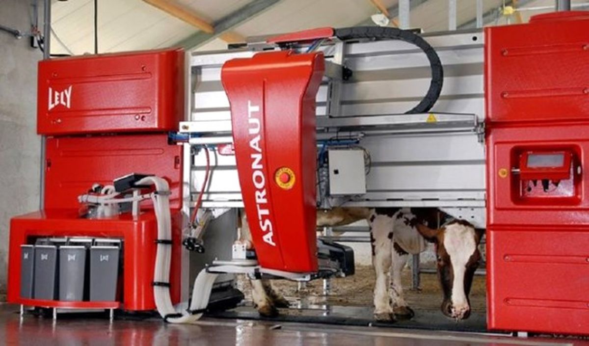 Lely, 25. Yaşını İndirimler ile Kutluyor