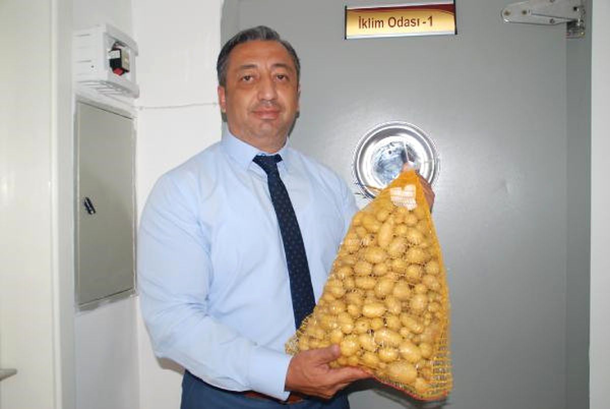 Niğde\'de Elit Patates Tohumluğu Üretiliyor