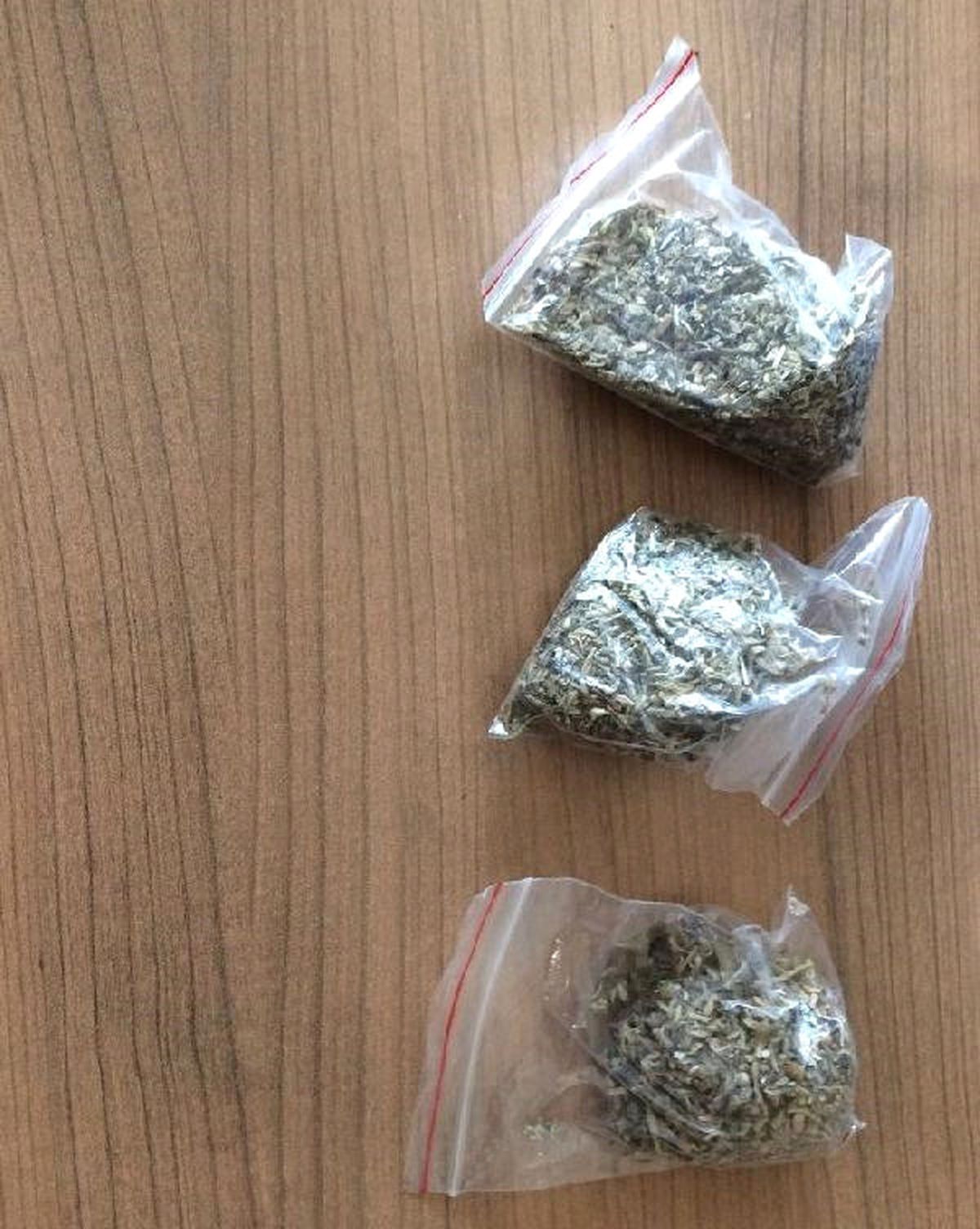 Oturdukları Koltuğun Altında Bonzai Bulundu