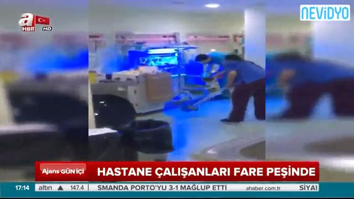 Özel Hastanede Fare Skandalı