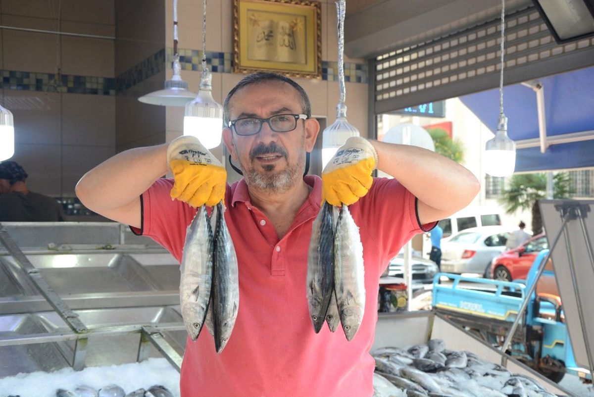 Palamutta Hayal Kırıklığı, Umut Hamside