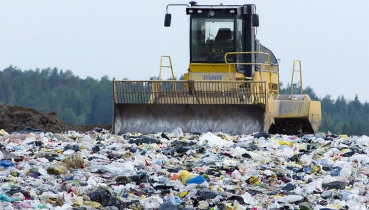 Plastik Yiyen Mantar Keşfedildi!