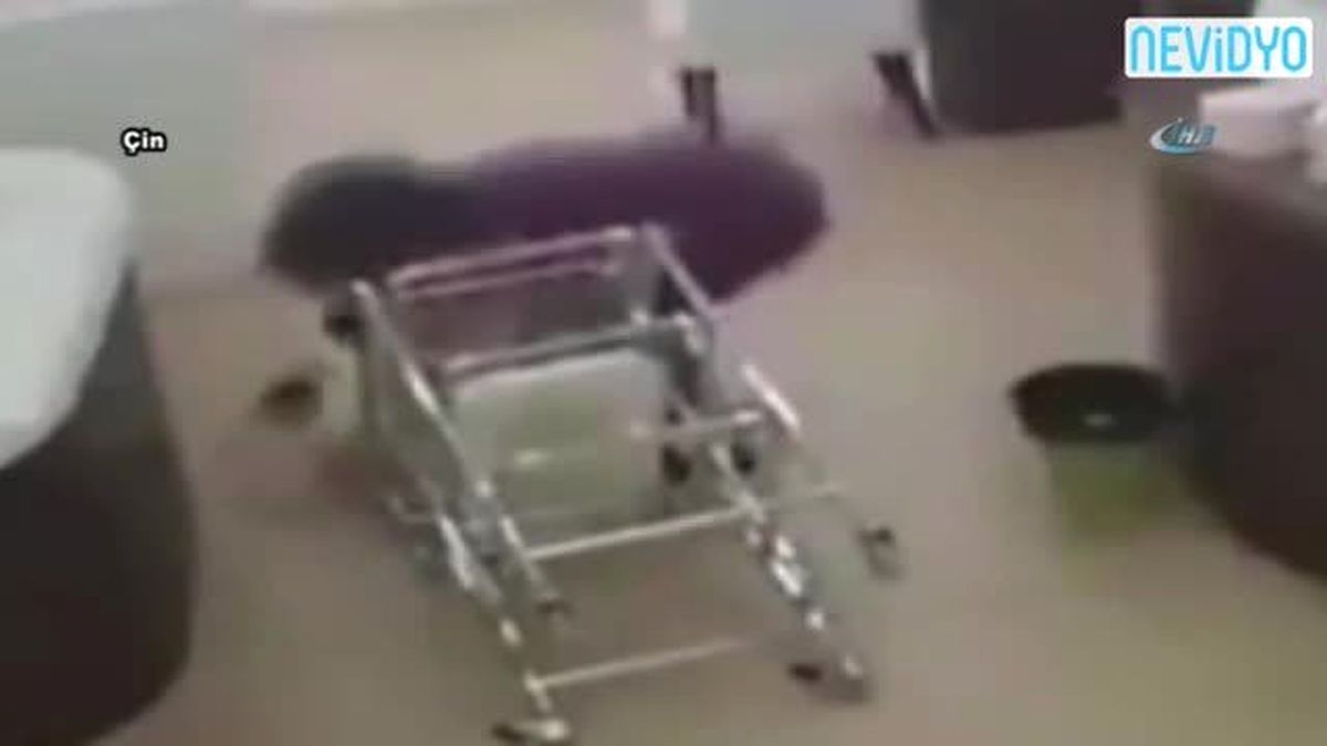 Pusetle Oynarken Bebeği Yere Düşürdü