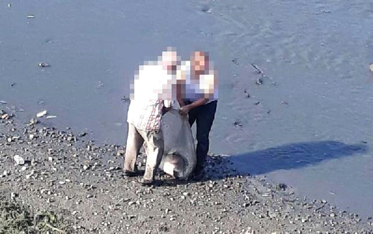 Sakarya Nehri Kenarında Kalaşnikof Bulundu