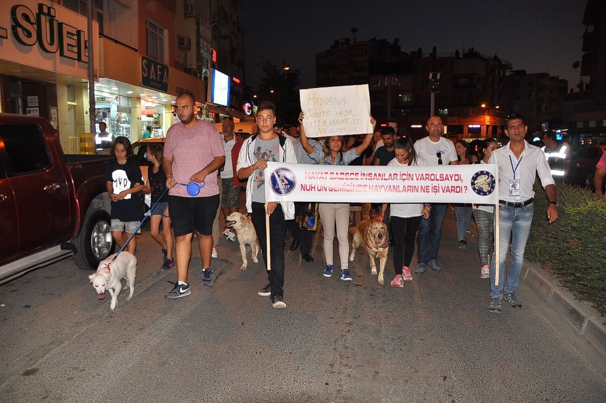 Tekme Atılan Köpek İçin Yürüdüler