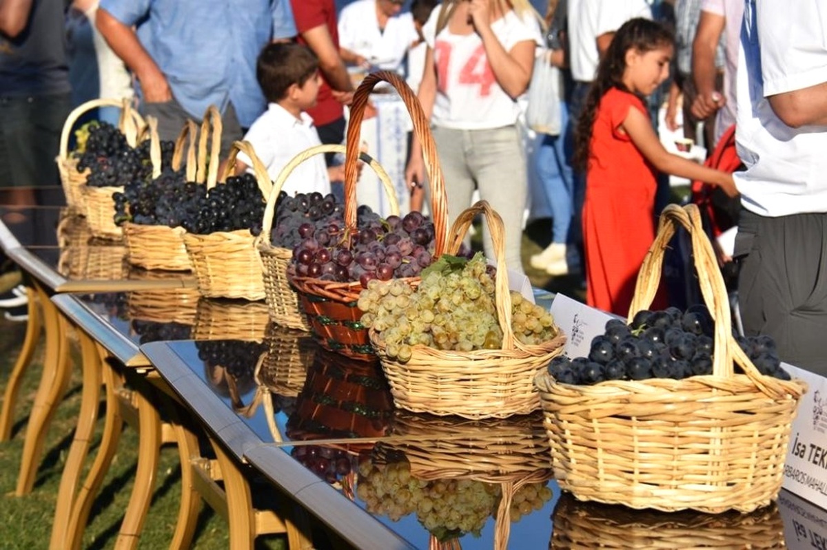 3. Trakya Bağ Bozumu ve Ekoloji Festivali Kapılarını Açıyor