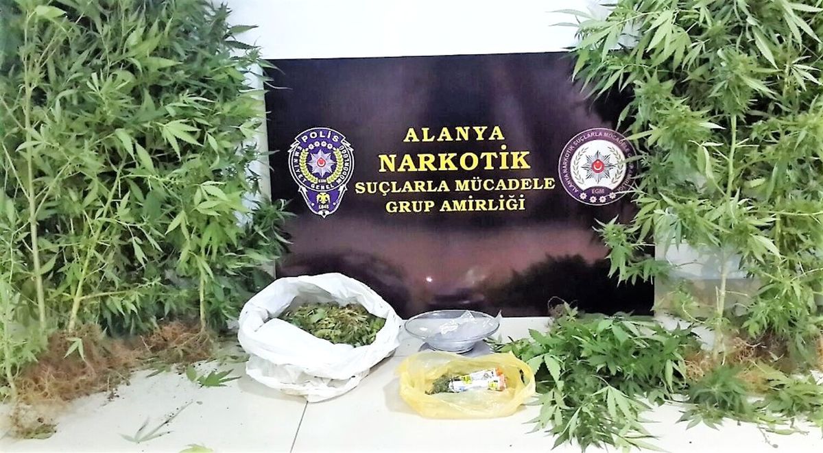 60 Yaşındaki Uyuşturucu Ticareti Şüphelisi Tutuklandı