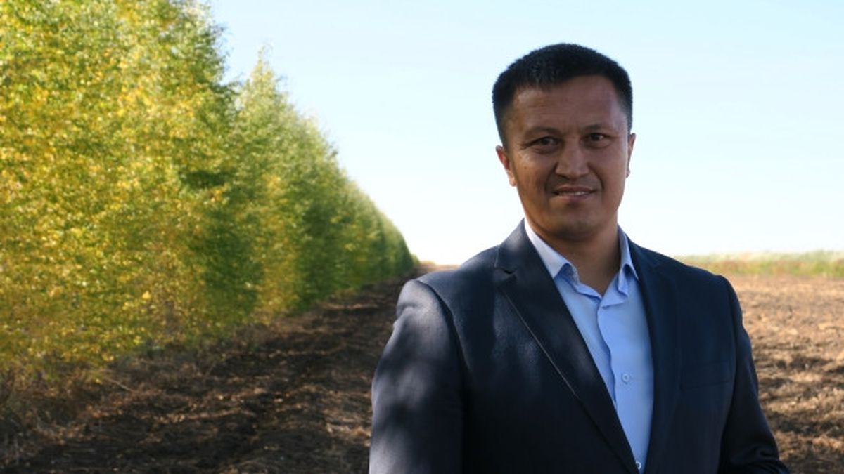 Astana\'da Karasal İklime Orman Önlemi