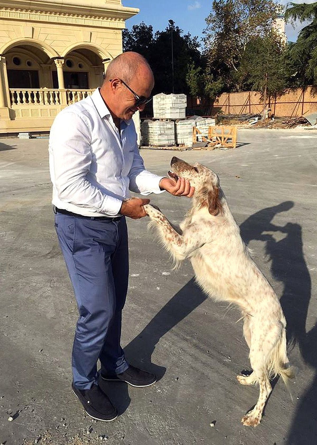Başkan Akgün: "Minik Dostlarımıza Bakamayacaksanız Sahiplenmeyin"