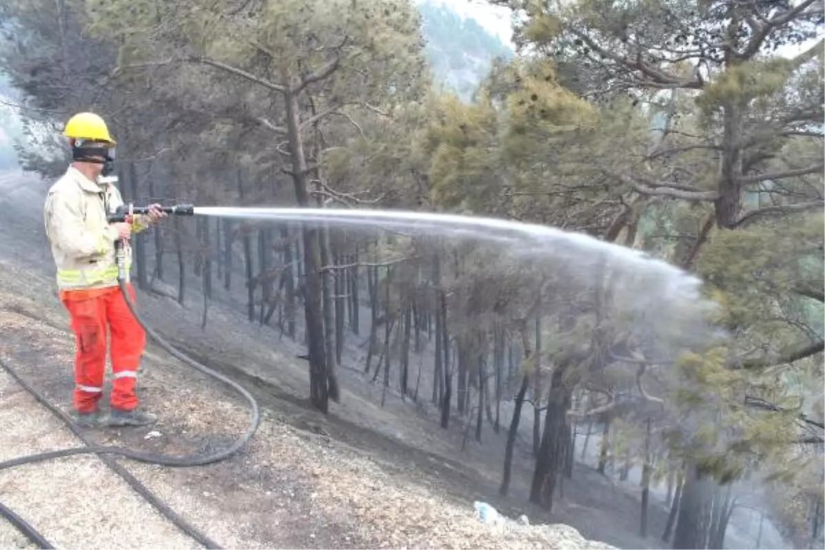 Dha Yurt - Mersin\'de 19 Dönüm Orman Yandı