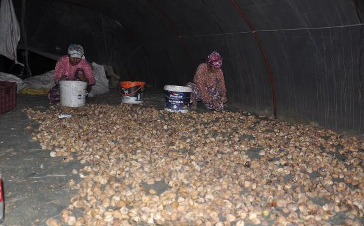 Büyükelçiler Gaziantep\'te Tarih Yolculuğunda