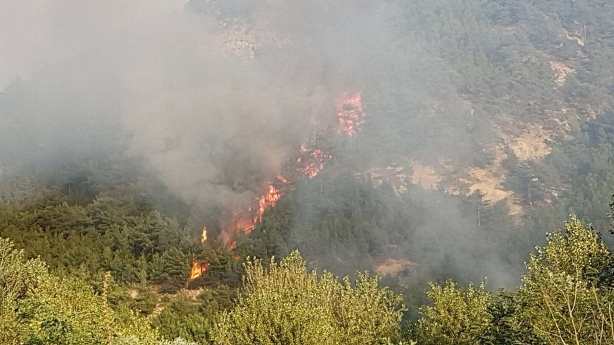 Karabük\'te Orman Yangını