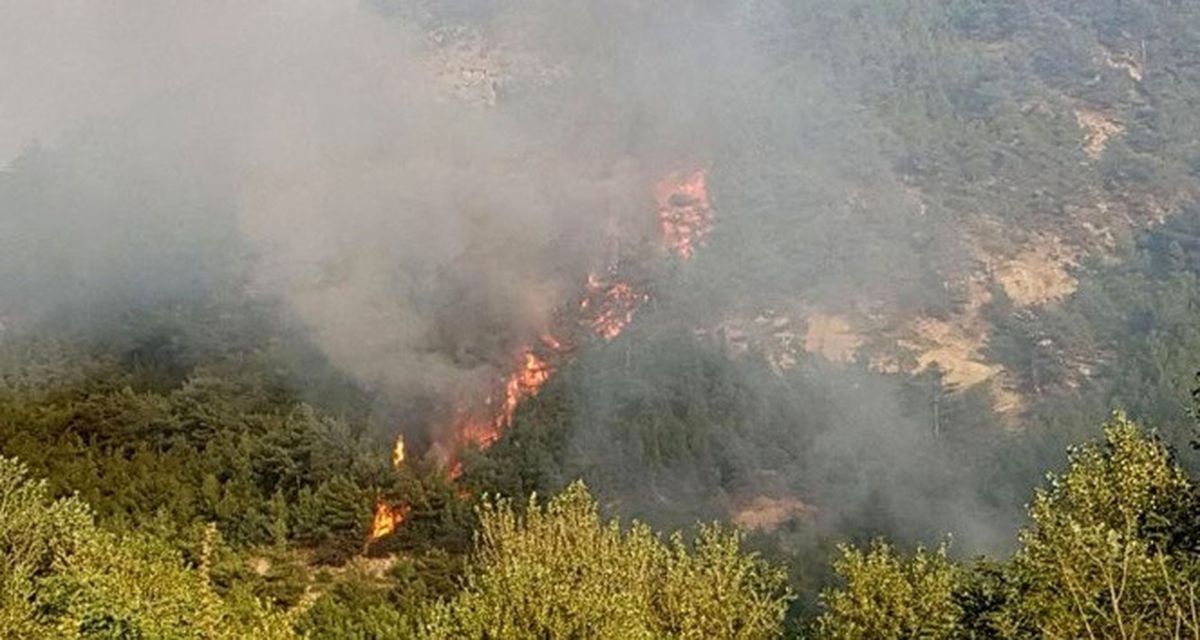 Karabük\'te Orman Yangını