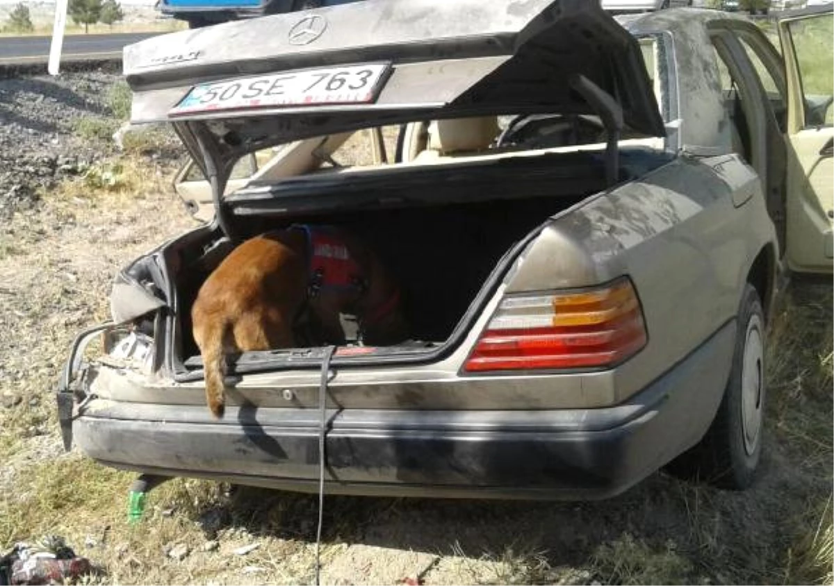 Kazada Kopan Kulağı, Arama- Kurtarma Köpeği Buldu