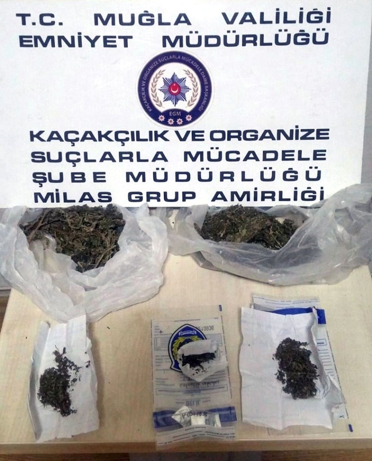 Milas\'taki Uyuşturucu Operasyonunda 1 Tutuklama