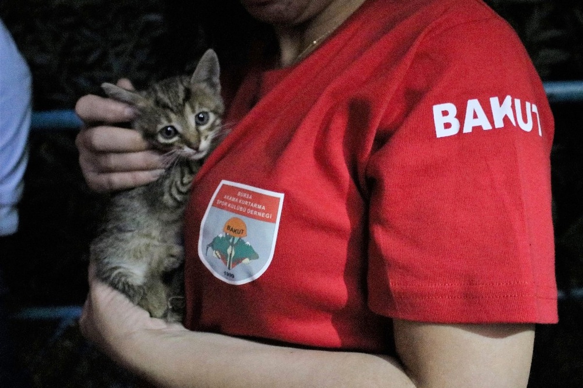 Metro İstasyonunda Kedi Kurtarma Operasyonu