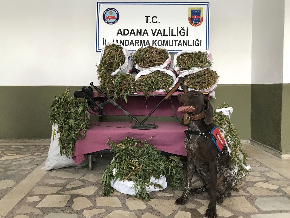 Adana\'da Uyuşturucu Operasyonu