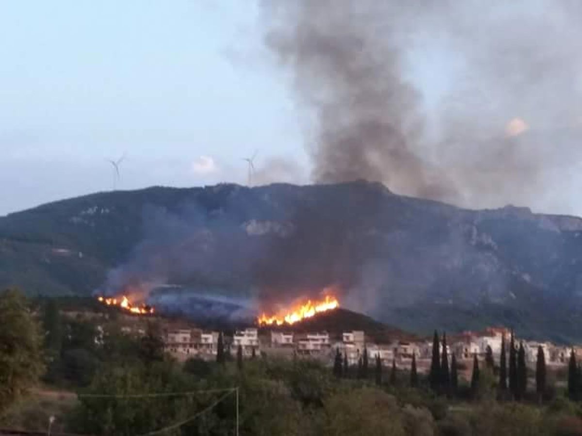 Aydın\'da 3 Ayrı Yerde Orman Yangını