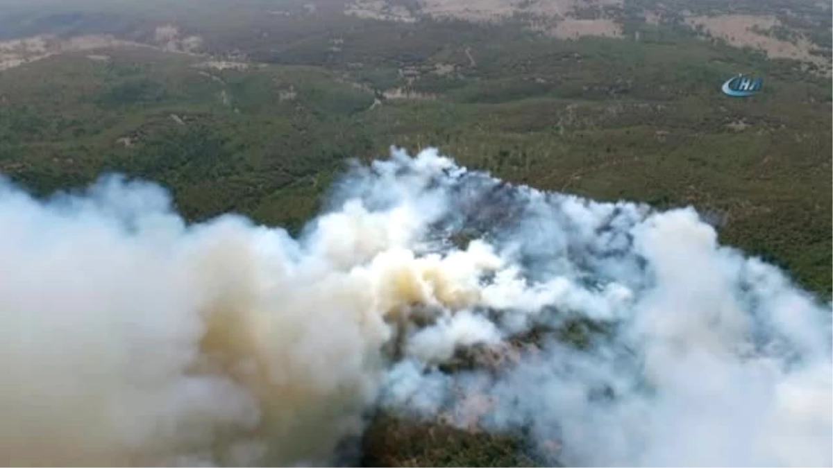 Eskişehir\'deki Ormanın Yangının Bilançosu Ağır Oldu: 15 Hektarlık Alan Kül Oldu