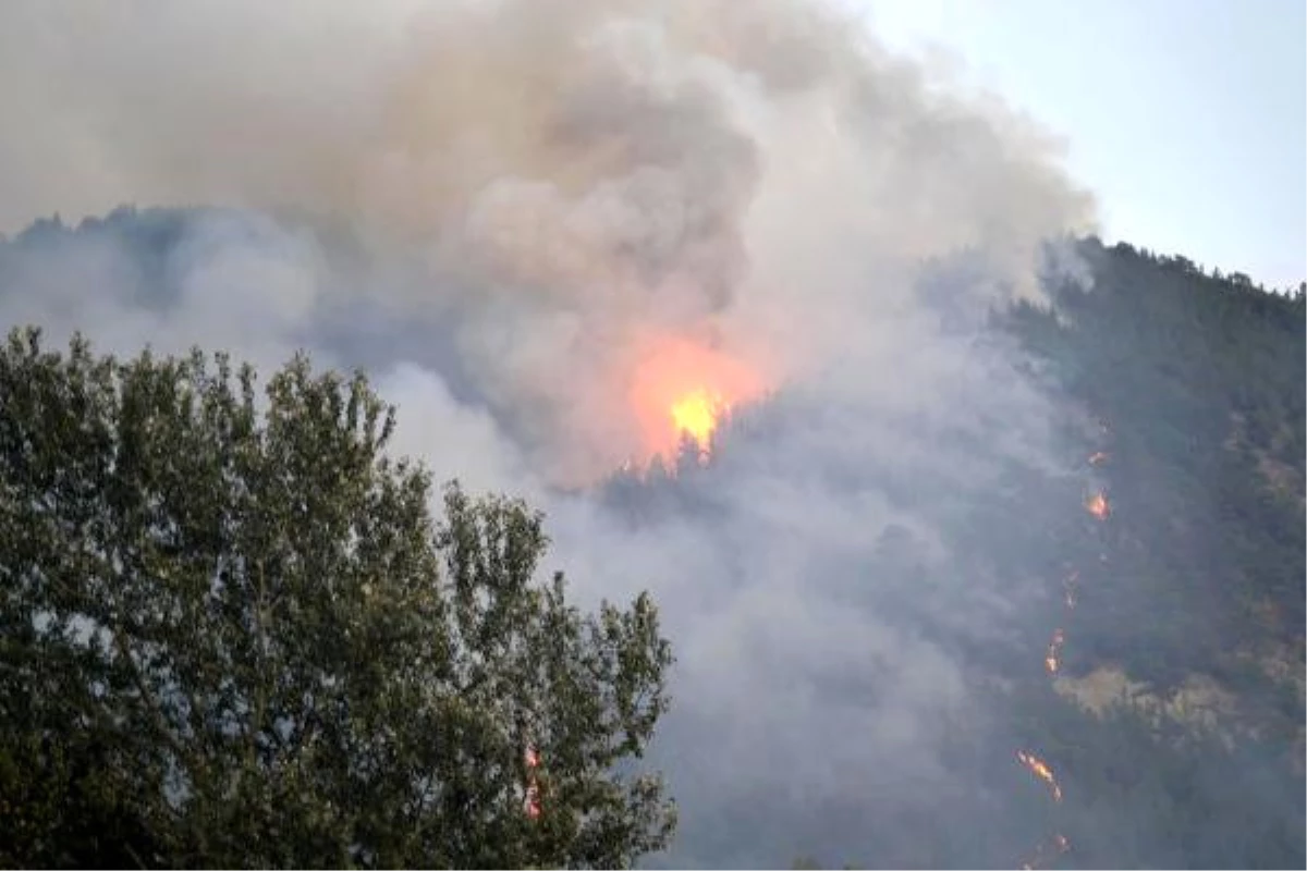 Karabük\'te Orman Yangını (2)