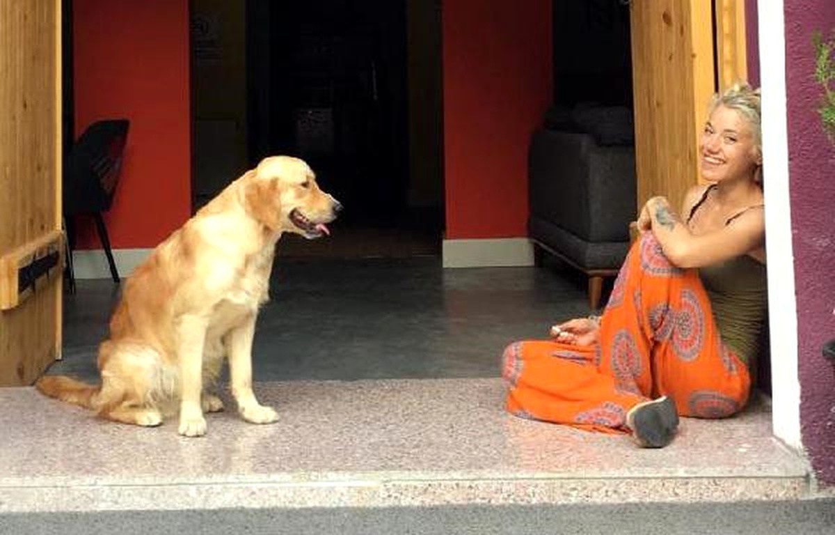 Otobüs Bagajında Ölen Köpeği \'Odin\' İçin Suç Duyurusunda Bulundu