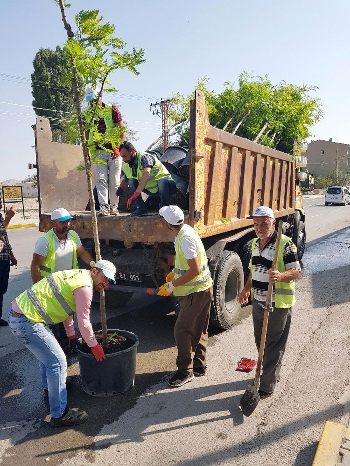 Yeni Yollar Ağaçlarla Donatıldı