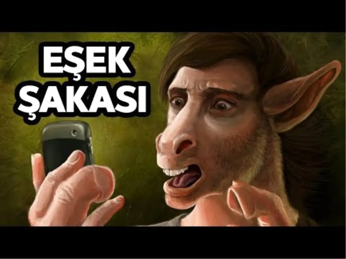 Youtuber'ların Yaptığı En Çılgın Eşek Şakaları