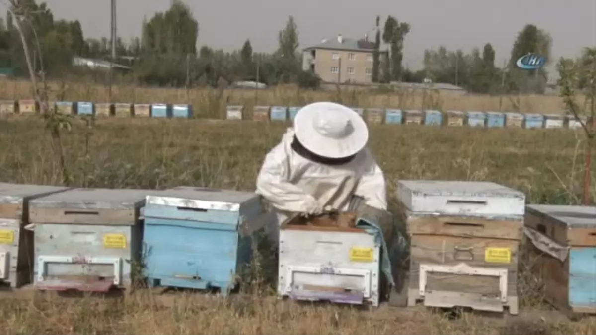 22 Kadın, 400 Kovandan 860 Kilo Organik Bal Üretti