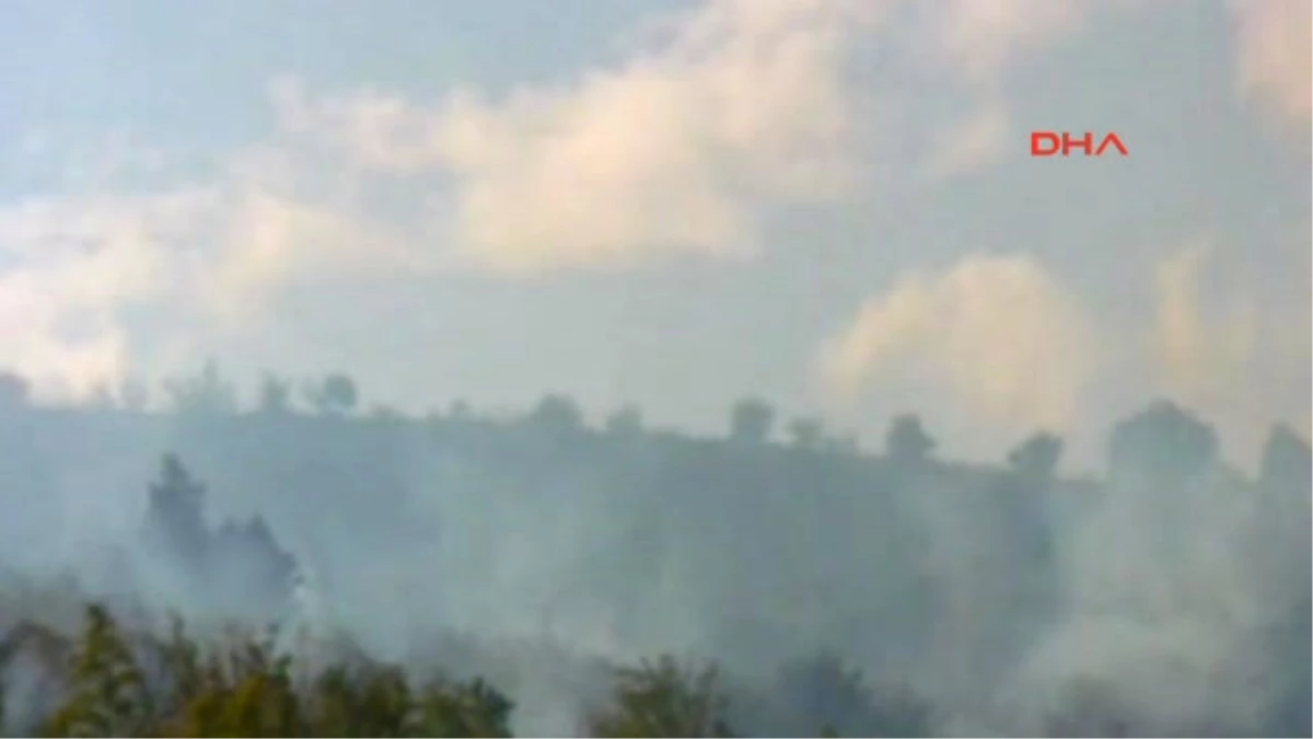 Ankara Nallıhan\'da 20 Hektarlık Çam Ormanı Yandı