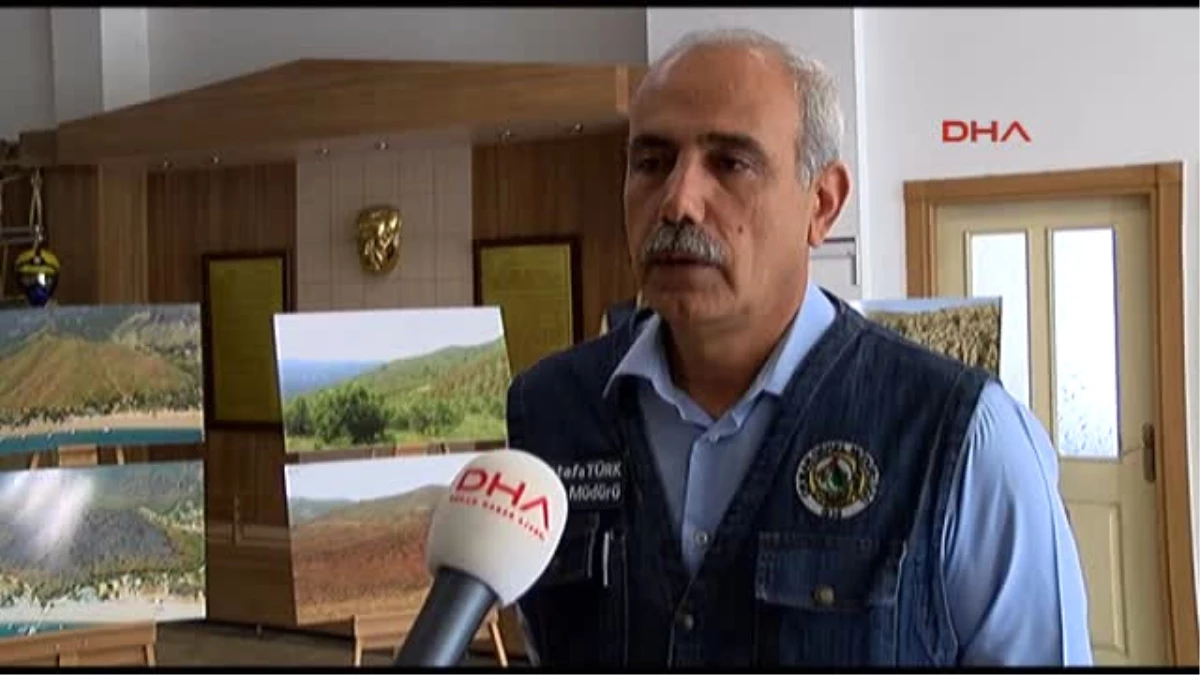 Antalya\'da 226 Orman Yangınında 2 Bin Hektar Zarar Gördü
