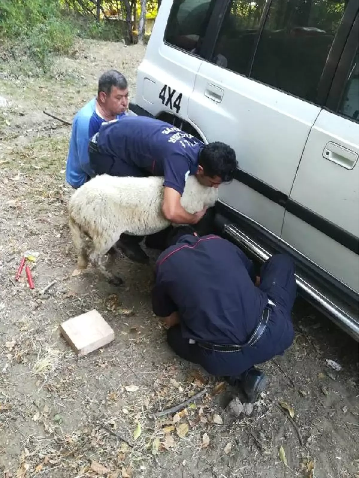 Çamurluğa Kafası Sıkıştıran Koyunu İtfaiye Kurtardı