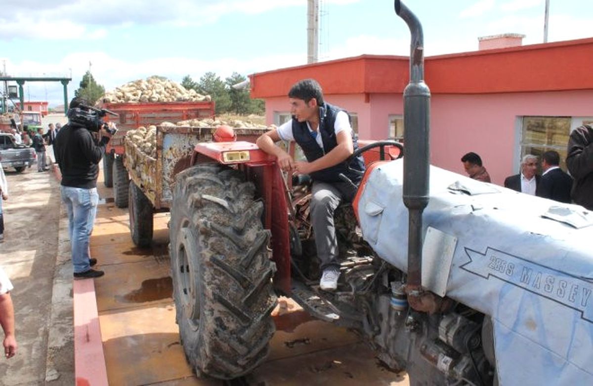 Elazığ\'da Şeker Pancarı Alım Kampanyası