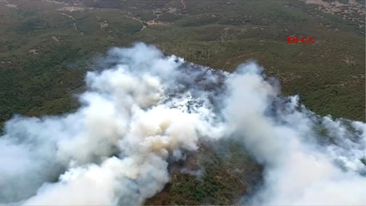 Eskişehir\'deki Orman Yangını Kontrol Altında