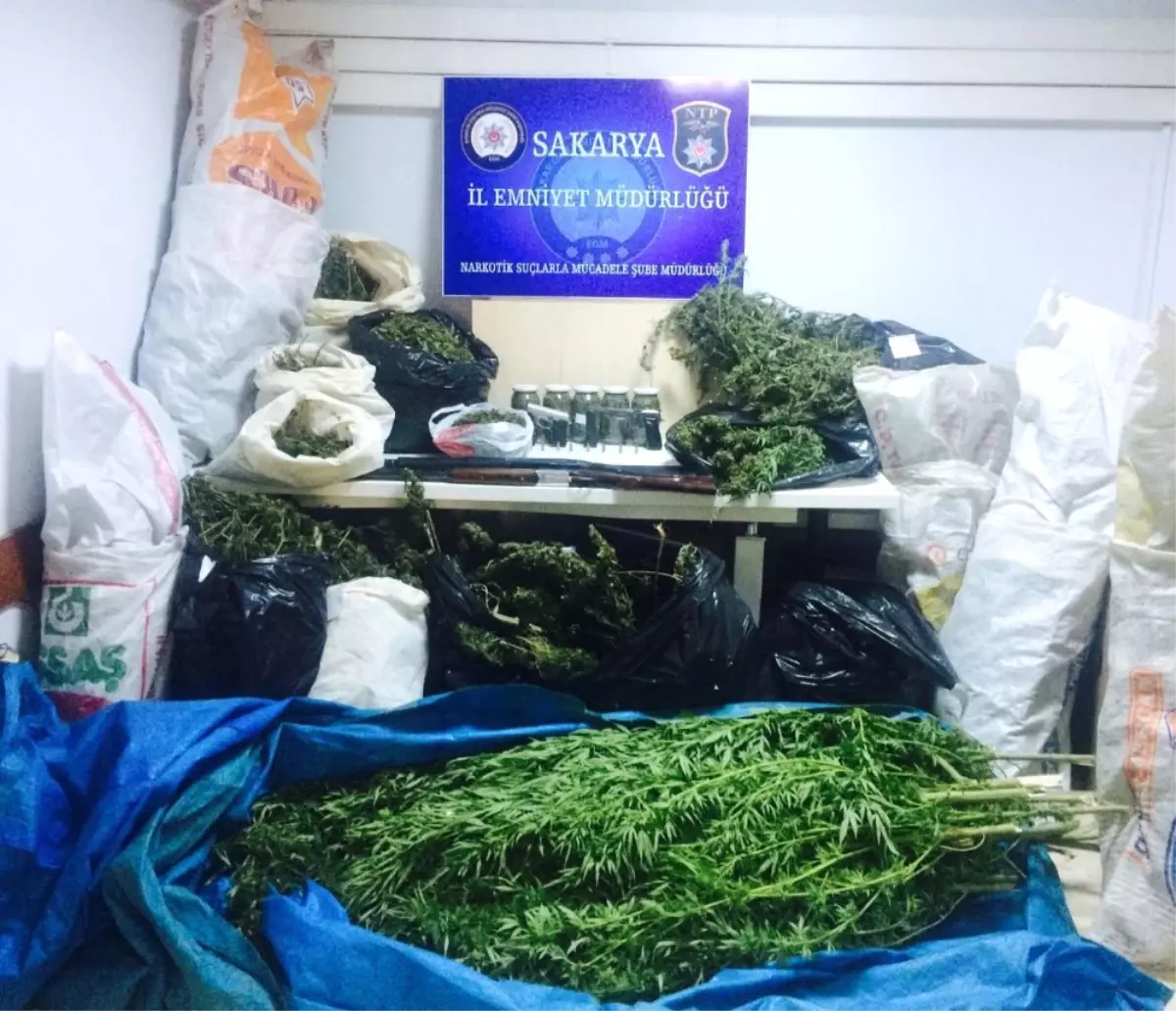 Sakarya\'da 39 Kilogram Esrar Maddesi Ele Geçirildi