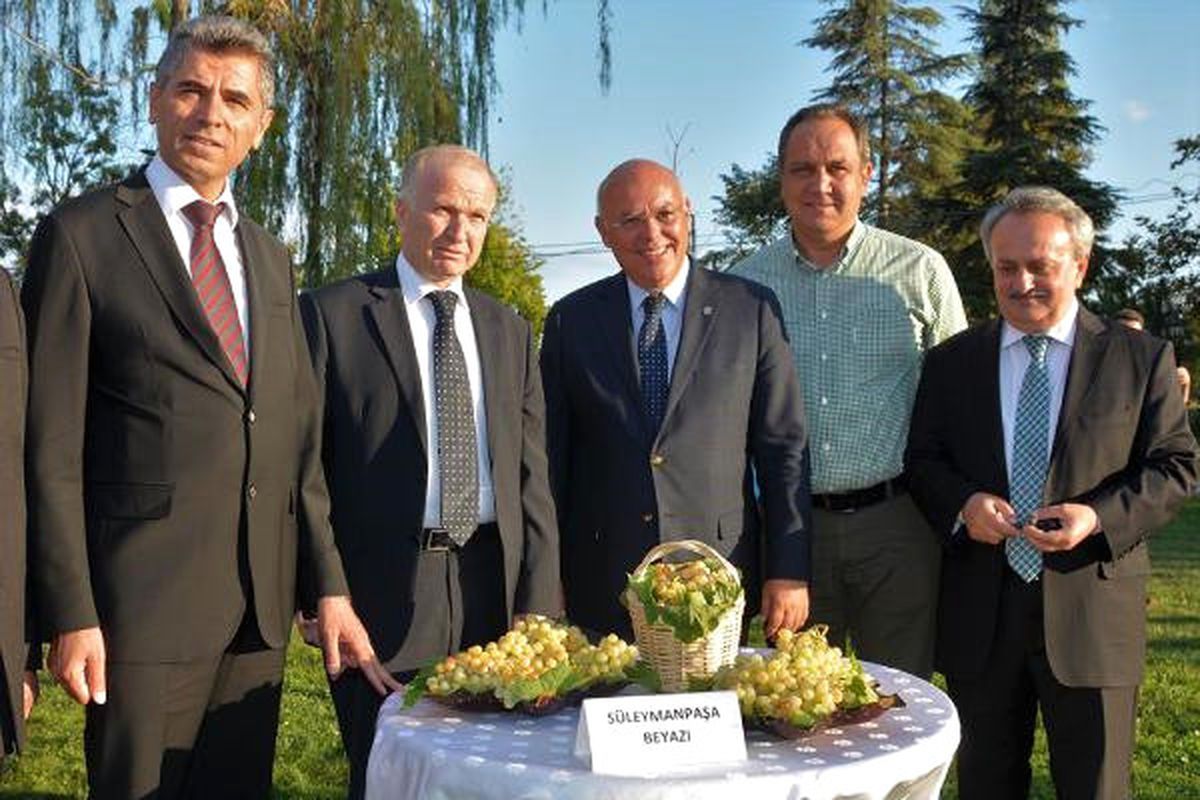 Tekirdağ\'da Bağbozumu Festivali Başladı