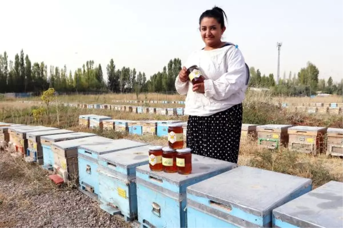 Vanlı Kadın Arıcılar Bal Hasadını Yaptı