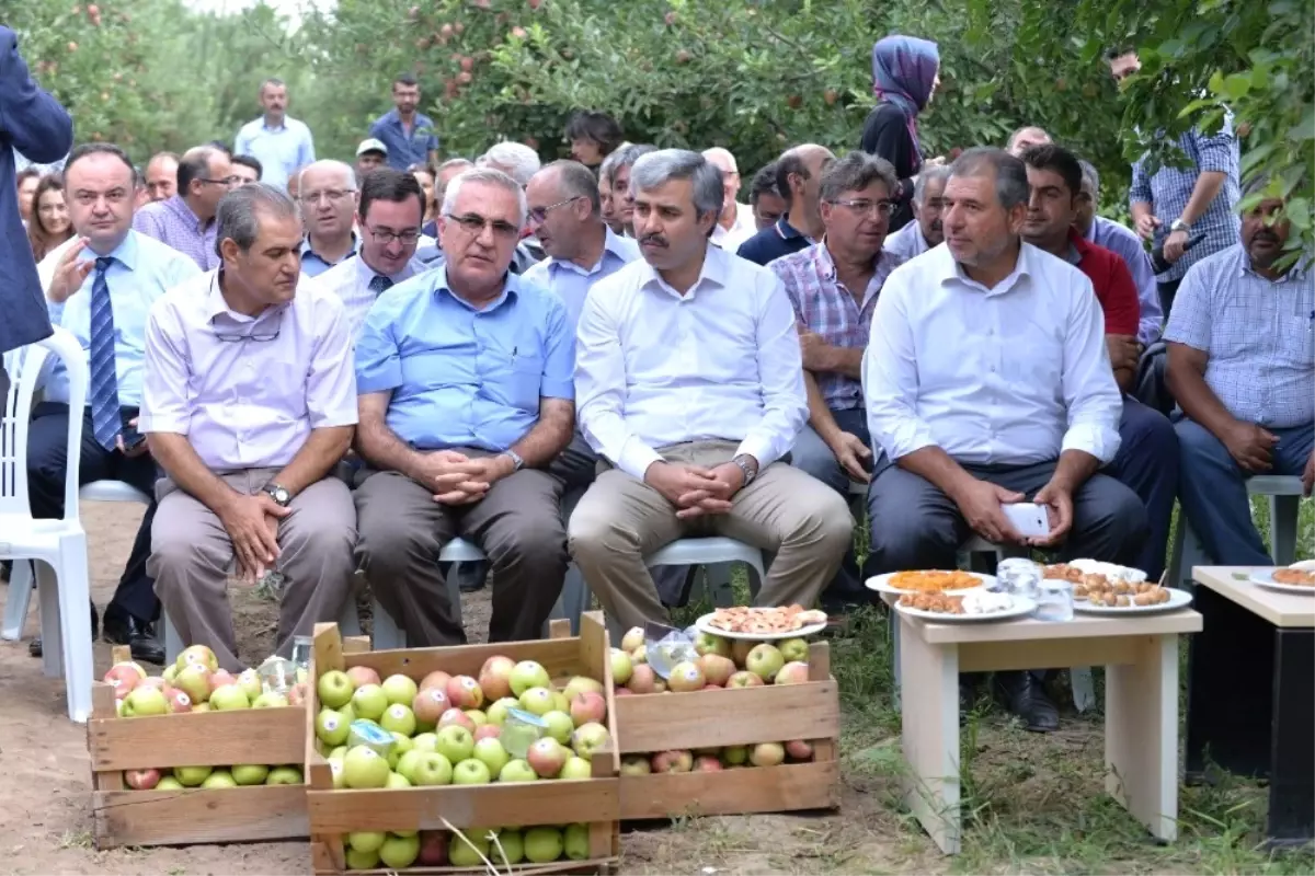 Zirai Mücadelede, İlaç Yerine Faydalı Böcekler Kullanılacak