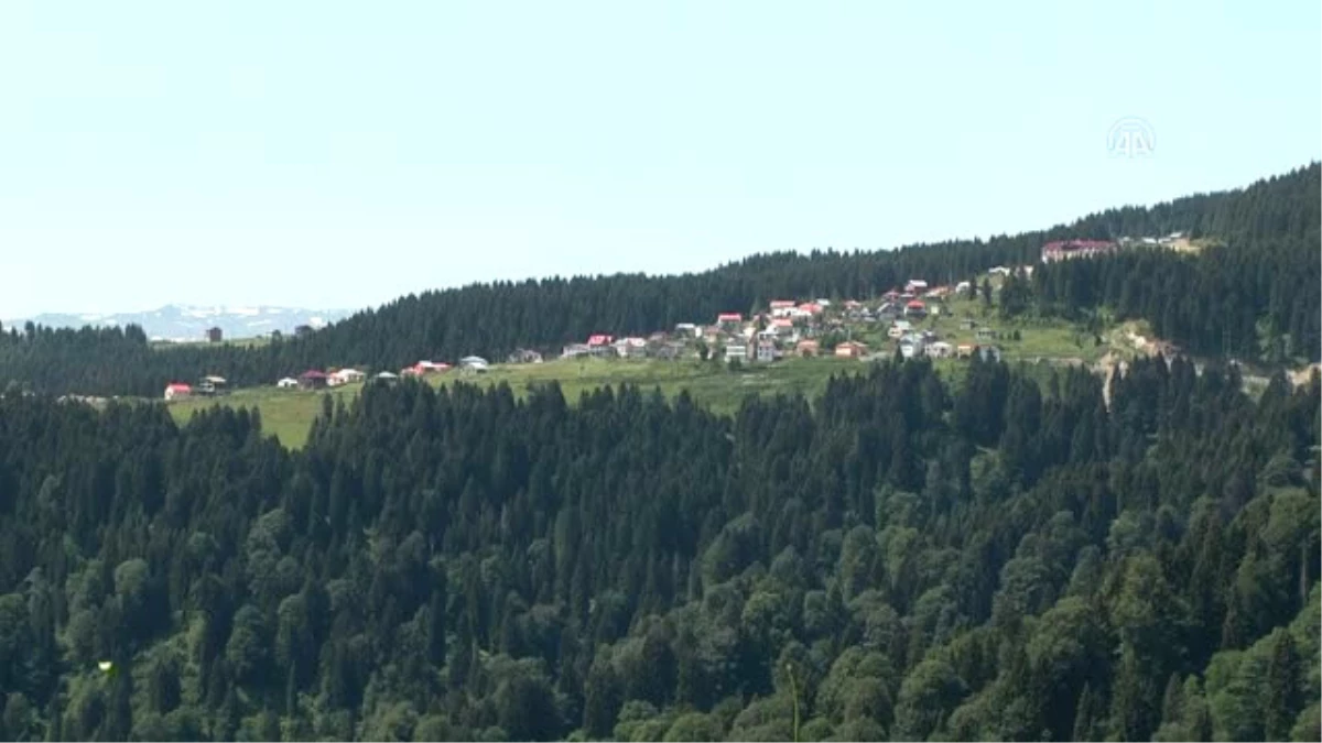 Adası, Yaylası ve Gölleriyle Turist Çekiyor (1)