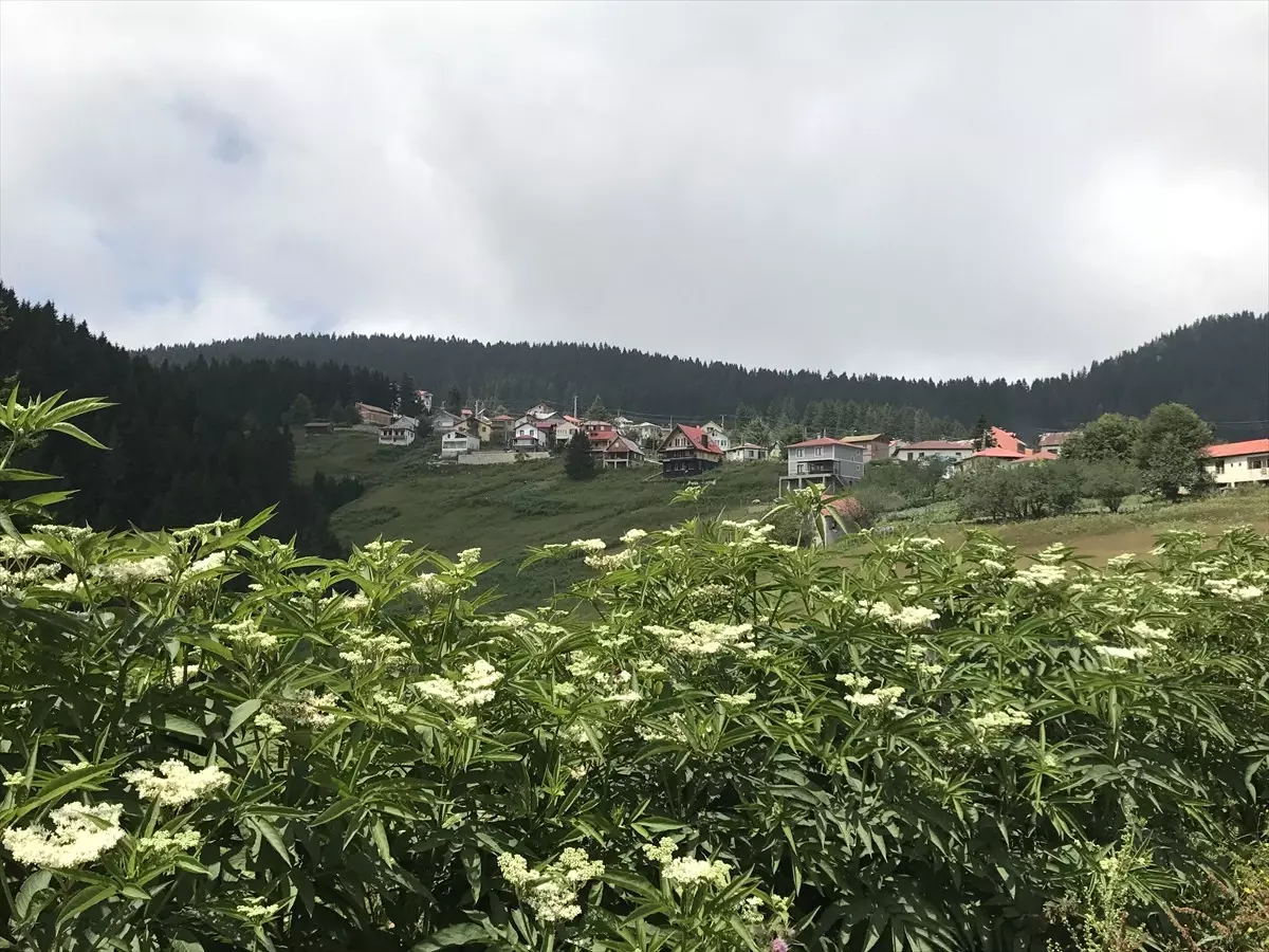 Adası, Yaylası ve Gölleriyle Turist Çekiyor