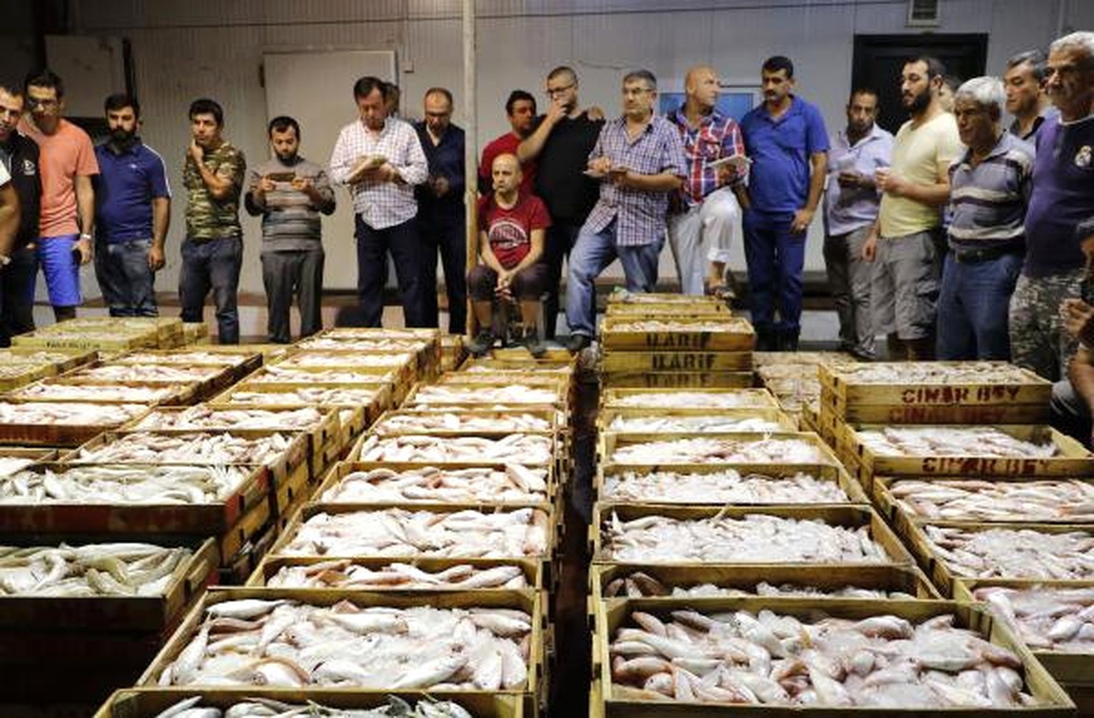 Balık Halinde 1 Kilo Tavuk Fiyatına Bir Kasa Balık